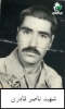 شهید ناصر قادری