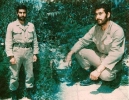 گالری تصاویر شهید محمد حسن قادری_19