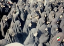 شهید محمد علی خان علی زفره
