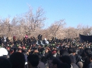 تصاویری از مراسم عاشورای سال 1390روستای زفره_5
