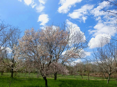 zefreh4 image zefreh4 درباره روستای زفره